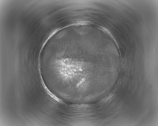 X0000051900851200507222040