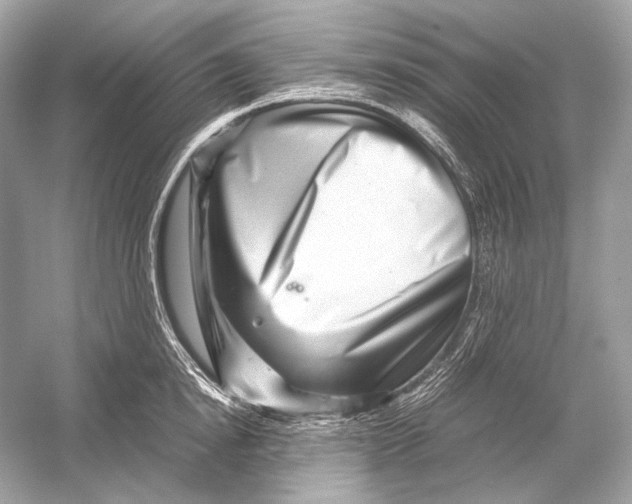 X0000051900854200507222040