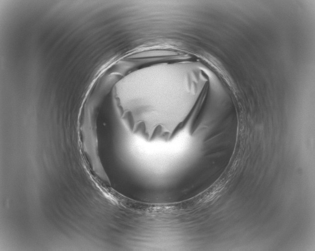 X0000051900858200507222040