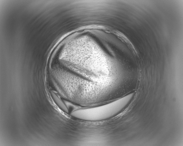 X0000051900860200507222040