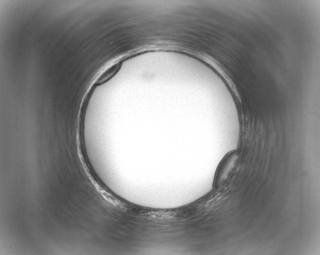 X0000051900861200507222040