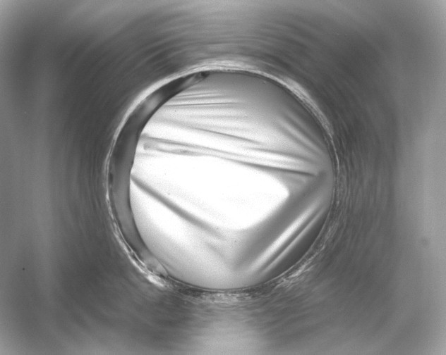 X0000051900862200507222040