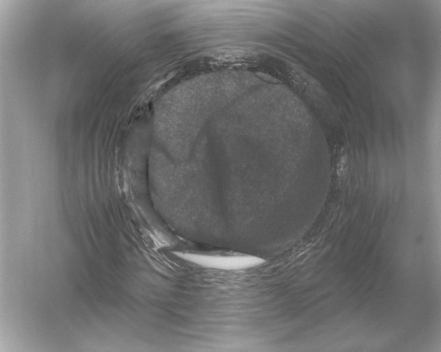 X0000051900868200507222039