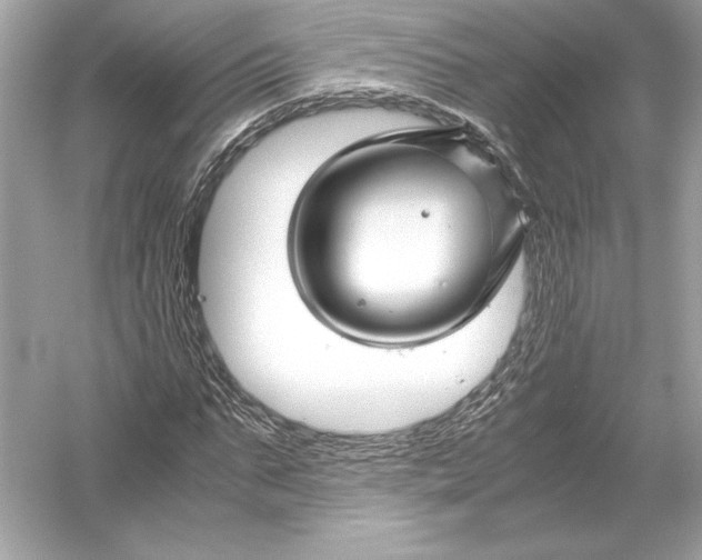 X0000051900871200507222039