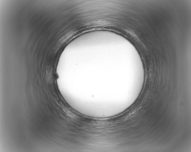 X0000051900873200507222039