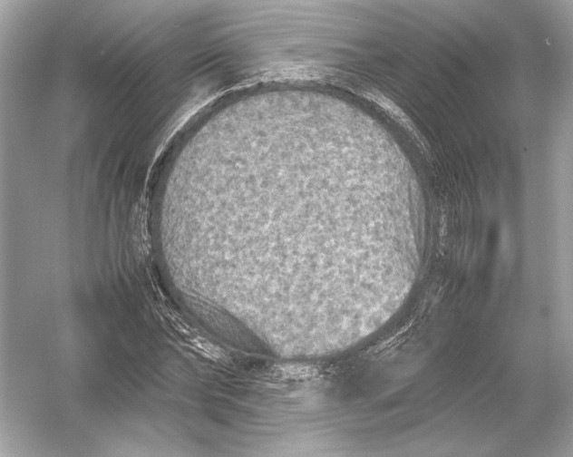 X0000051900878200507222039