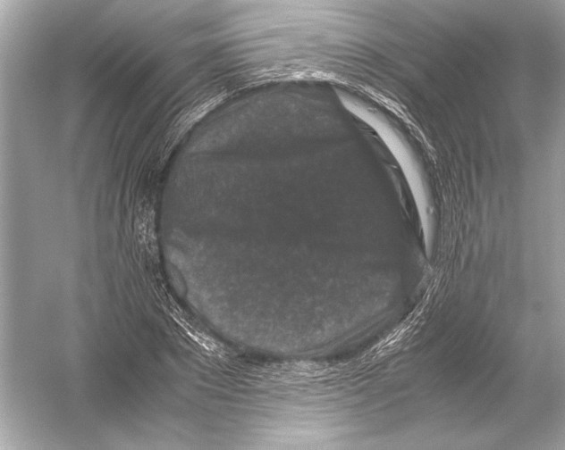 X0000051900881200507222039