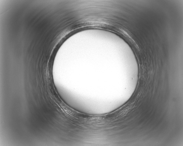 X0000051900883200507222039