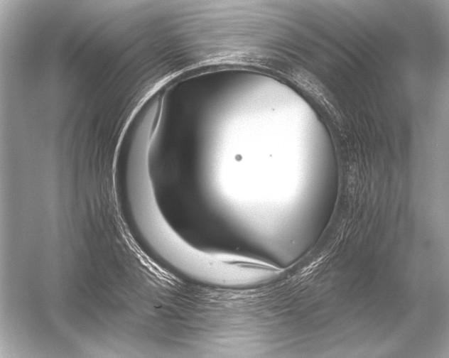 X0000051900884200507222039