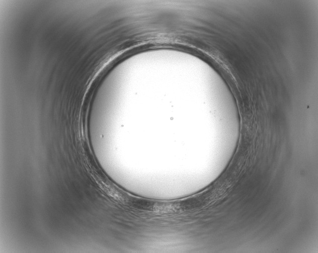 X0000051900887200507222039