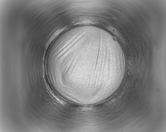 X0000051900890200507222039