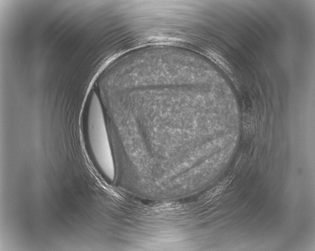X0000051900891200507222039