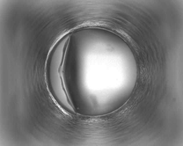 X0000051900894200507222039