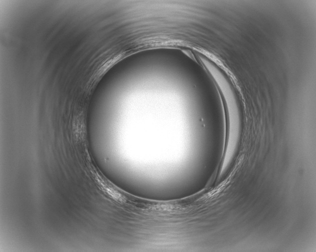 X0000051900897200507222039