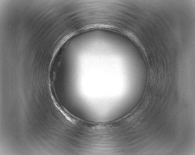 X0000051900898200507222039