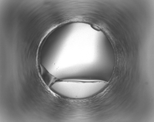 X0000051900902200507222039