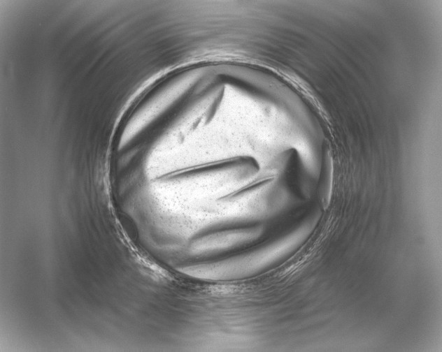 X0000051900904200507222039