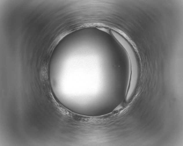 X0000051900905200507222039
