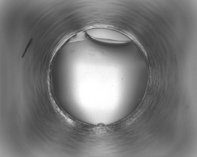 X0000051900906200507222039