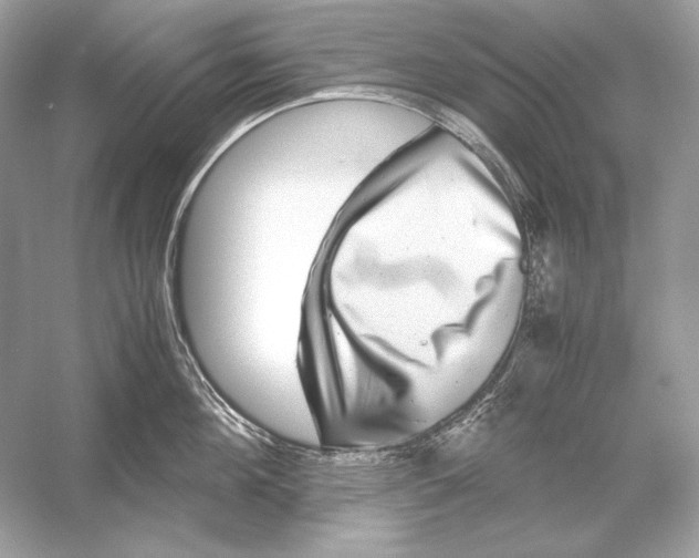 X0000051900908200507222039