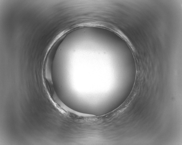 X0000051900909200507222039
