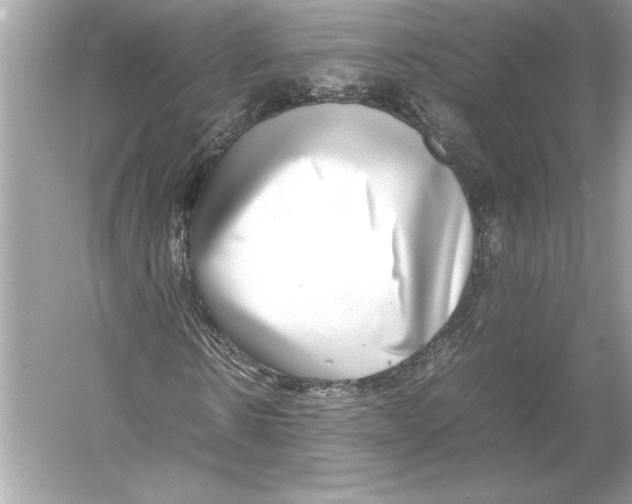 X0000051900914200507222038