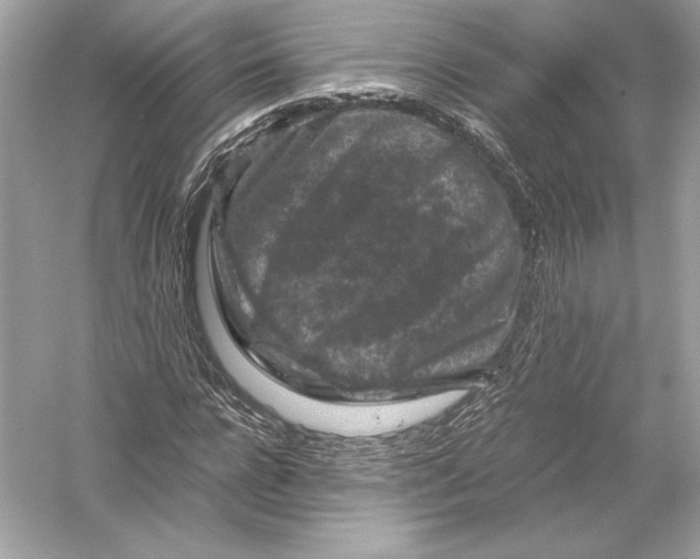 X0000051900920200507222038