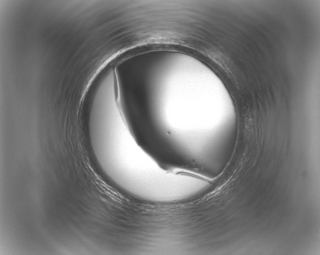 X0000051900926200507222038