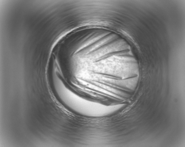 X0000051900928200507222038