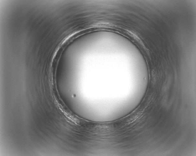 X0000051900931200507222038