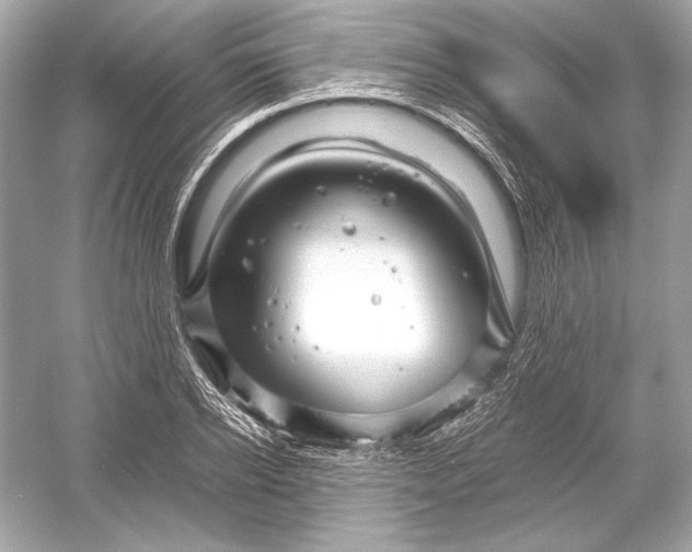 X0000051900934200507222038