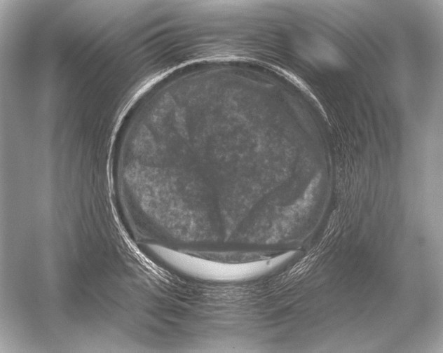 X0000051900935200507222038