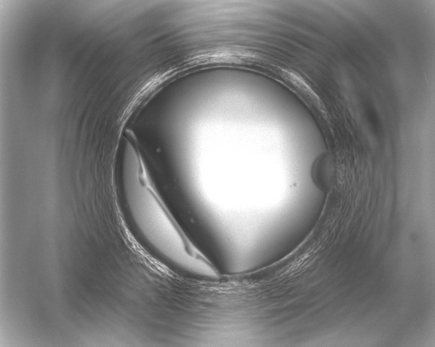 X0000051900938200507222038