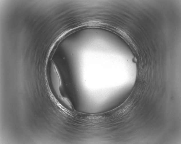 X0000051900939200507222038
