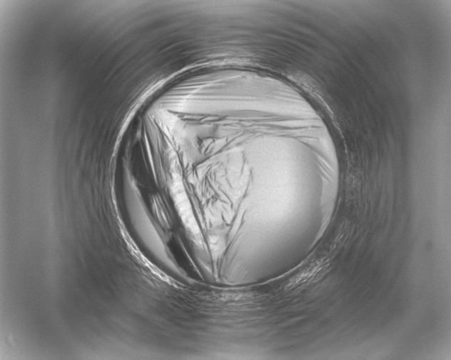 X0000051900941200507222038
