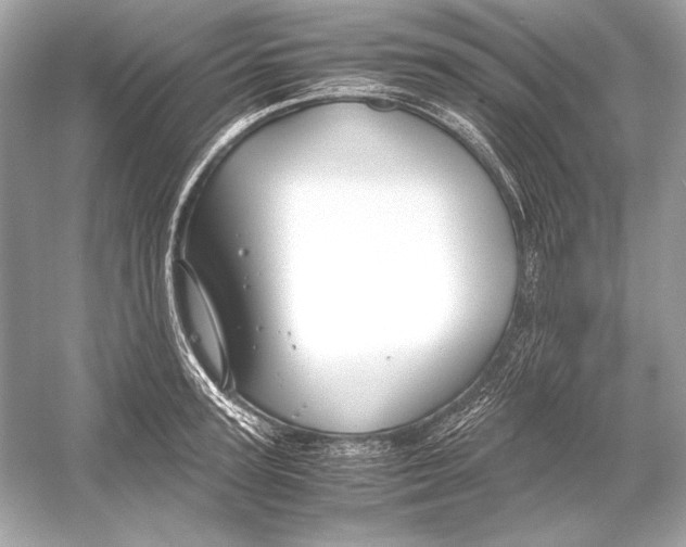 X0000051900947200507222038