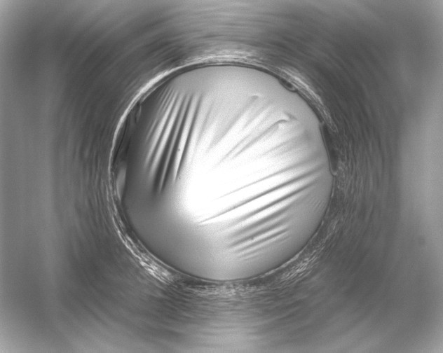 X0000051900948200507222038