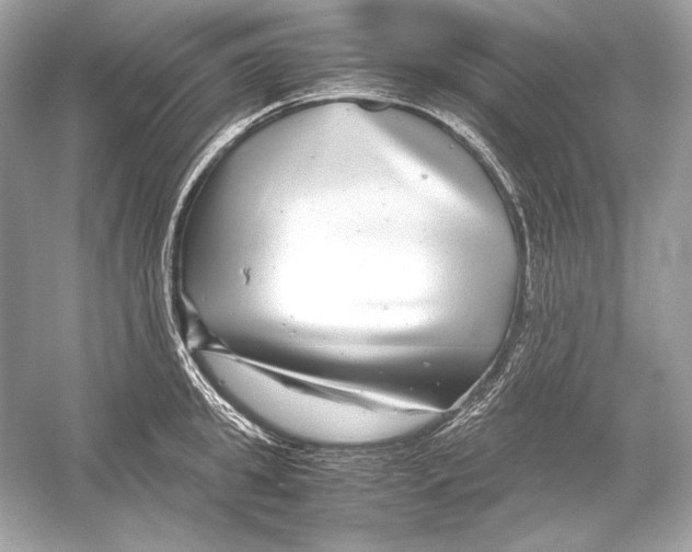X0000051900949200507222038