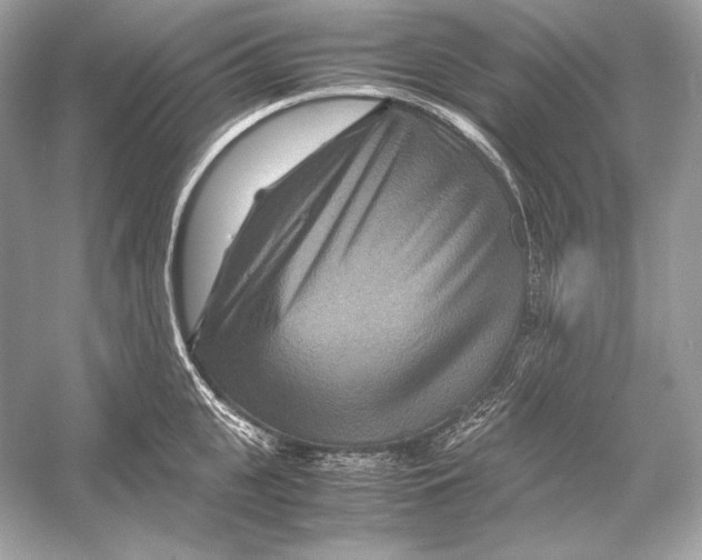 X0000051900951200507222038