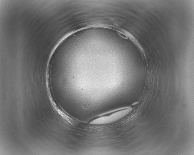 X0000051900955200507222038