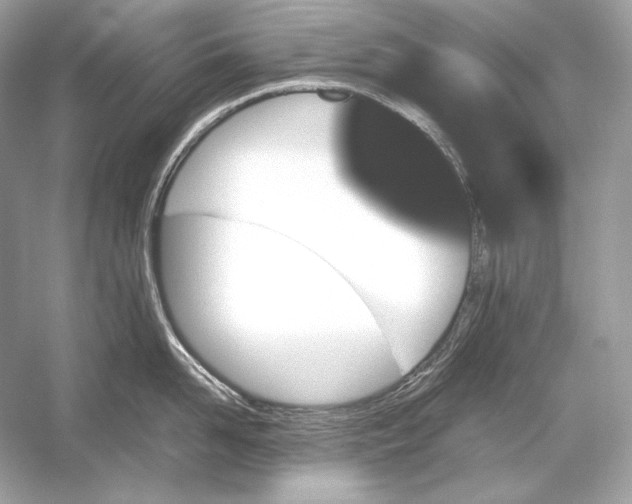 X0000051900958200507222038