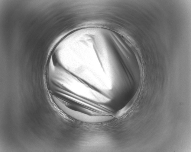 X0000051900960200507222039