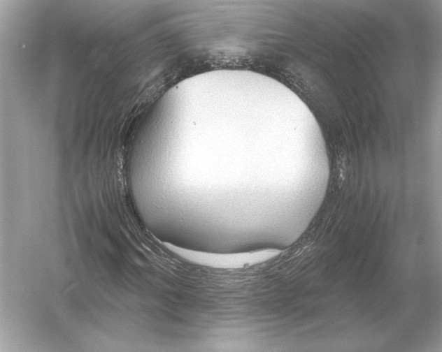 X0000051900964200507222038