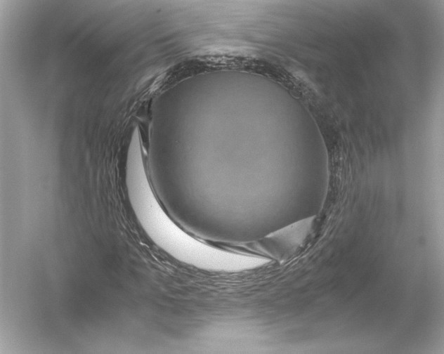 X0000051900965200507222038