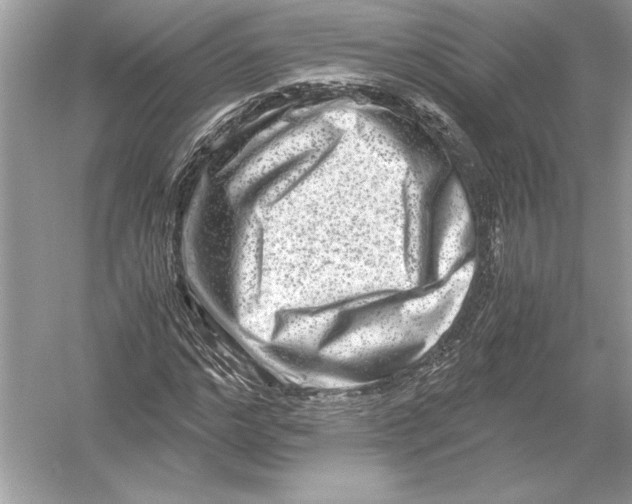 X0000051900968200507222038
