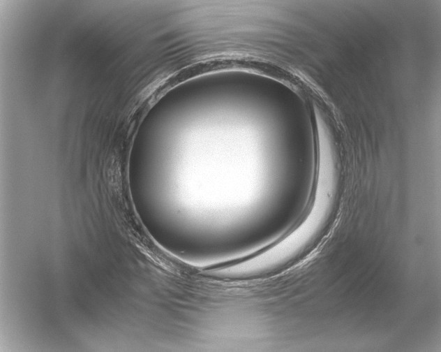 X0000051900969200507222038