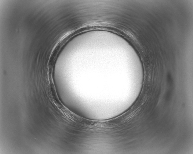 X0000051900974200507222037