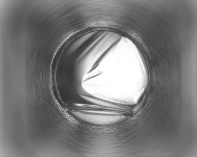 X0000051900976200507222037