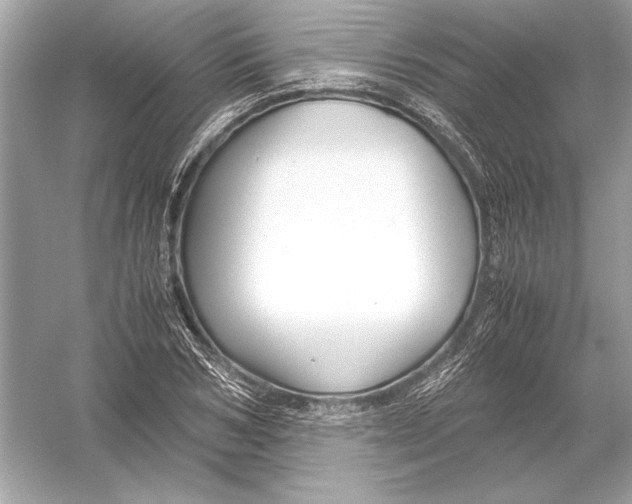 X0000051900978200507222037