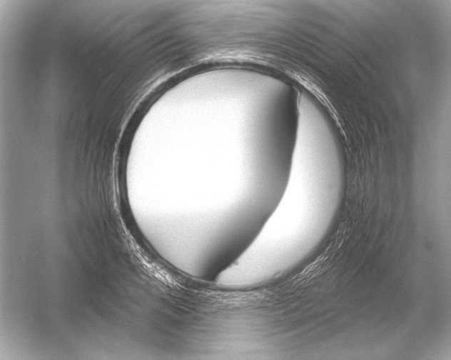 X0000051900984200507222037